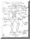 qanatomy.jpg (53973 bytes)